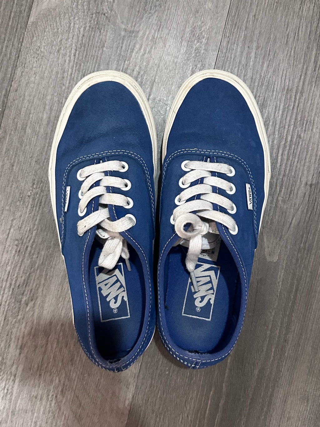 Vans Womens Authentic Navy Blue Shoes